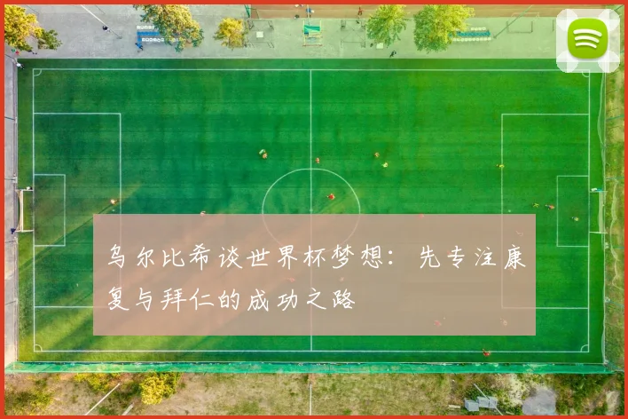 乌尔比希谈世界杯梦想：先专注康复与拜仁的成功之路