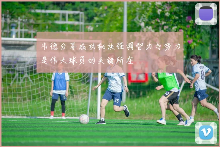 韦德分享成功秘诀强调智力与努力是伟大球员的关键所在