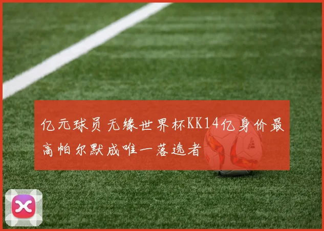 亿元球员无缘世界杯KK14亿身价最高帕尔默成唯一落选者